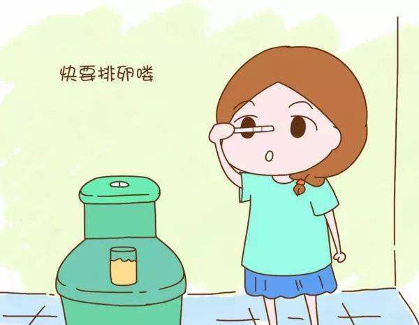 排卵喽.jpg