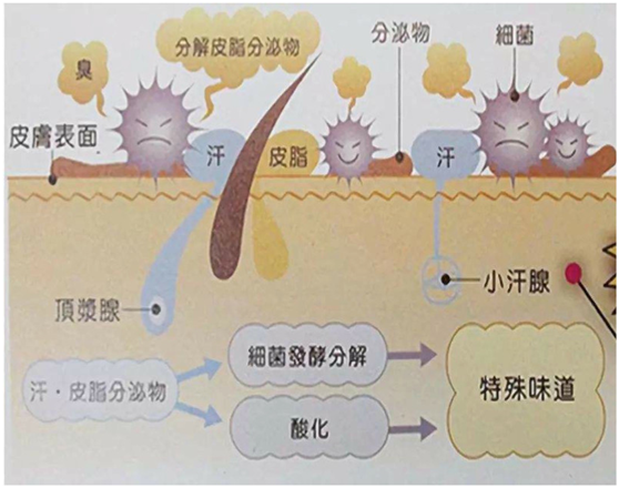 1593670468409527.png 图片.png