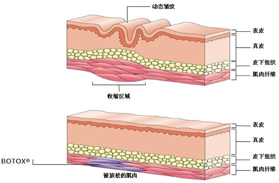 微信图片6_20200707094308.png