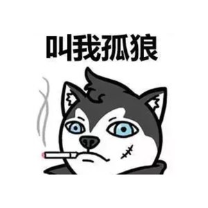 T002R300x300M000000j2WwJ3jXXUw.jpg