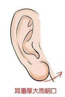 耳垂修整手术怎么做?