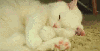 微信图片_20200715091038.gif