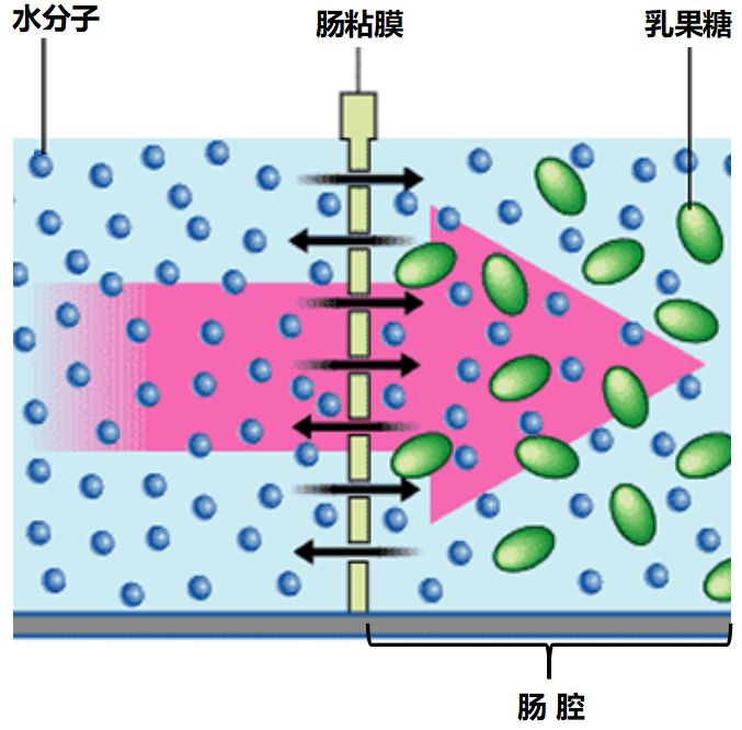 微信图片_20200716155746.jpg