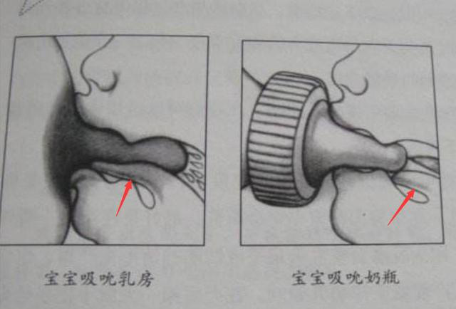 图片 67.png