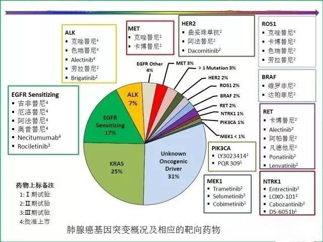 何为靶向治疗？一文让你了解肺癌的靶向治疗