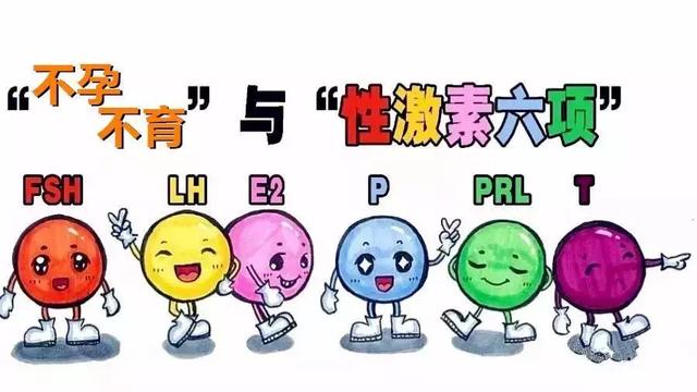 激素六项是什么？提前了解少跑几趟
