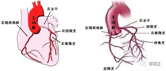 做完搭桥手术冠心病能根治吗