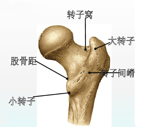 1597888122(1).png