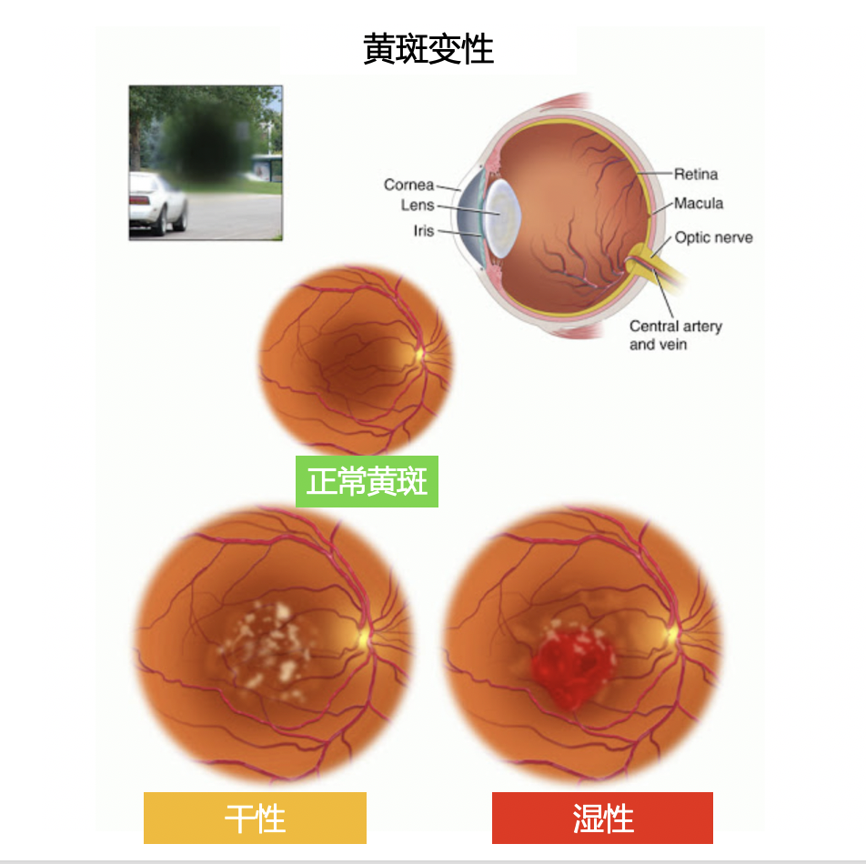 截屏2020-08-31 23.19.36.png