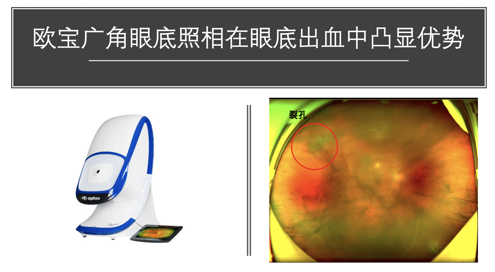 截屏2020-09-03 10.37.15.png