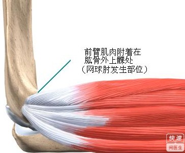 dbac74f3e508e5448fc14cb3ba37a927.jpg