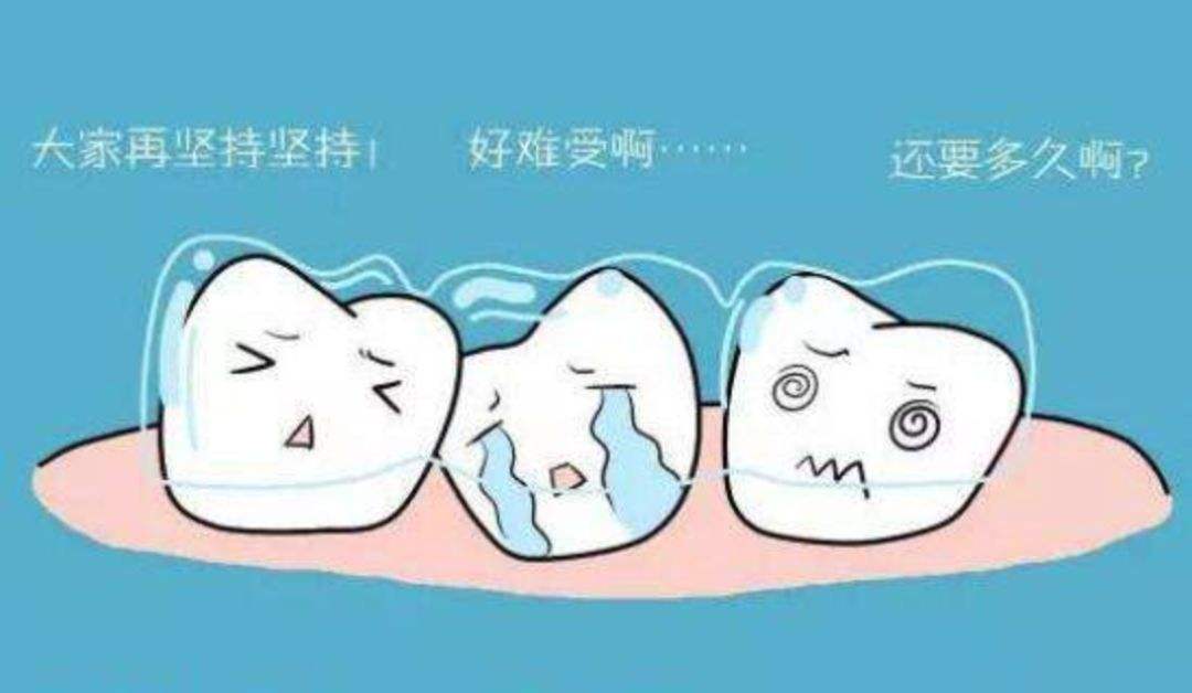 1600328855502893.jpg timg (1).jpg