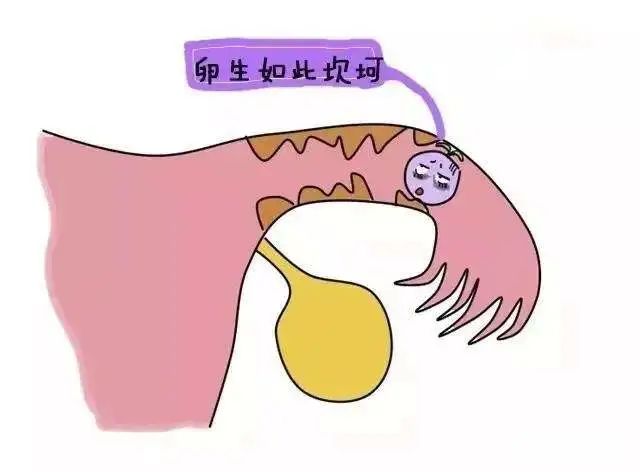 1602205634965774.jpg 2.jpg