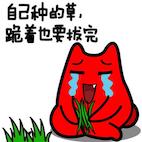 拔草.jpg