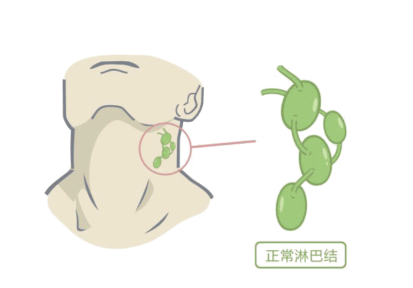 QQ图片20201026154925.png