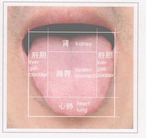 怎样通过舌头简单了解自己的身体状况
