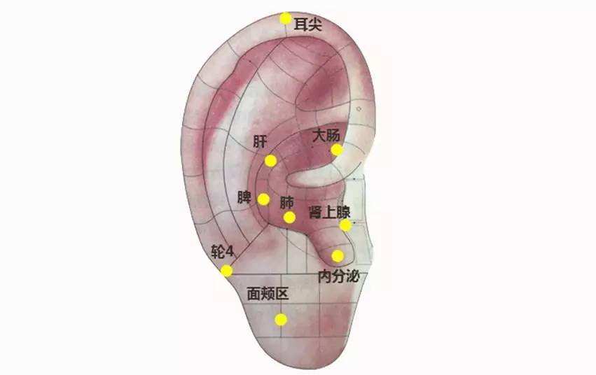 不想再反复长痘，可以试试这些中医药治疗方法