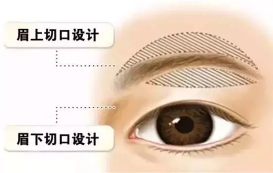 319f2b1e63844227bb418b1119d984f5.jpeg