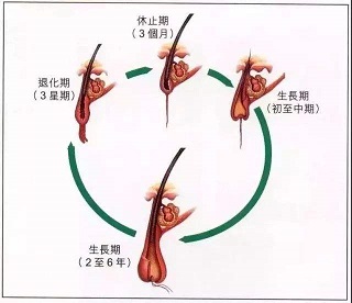 timg (11).jpg