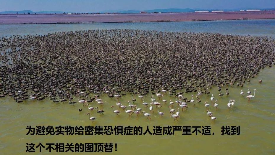 卵巢癌的“倒冰山”理论——关于卵巢癌手术决策的思维逻辑
