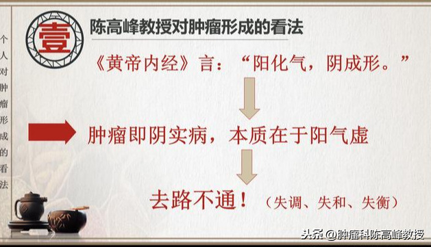 陈高峰教授破译中医肿瘤病因