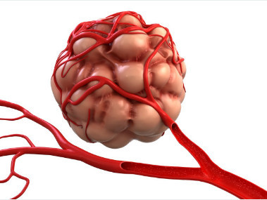 影响子宫内膜癌的预后因素