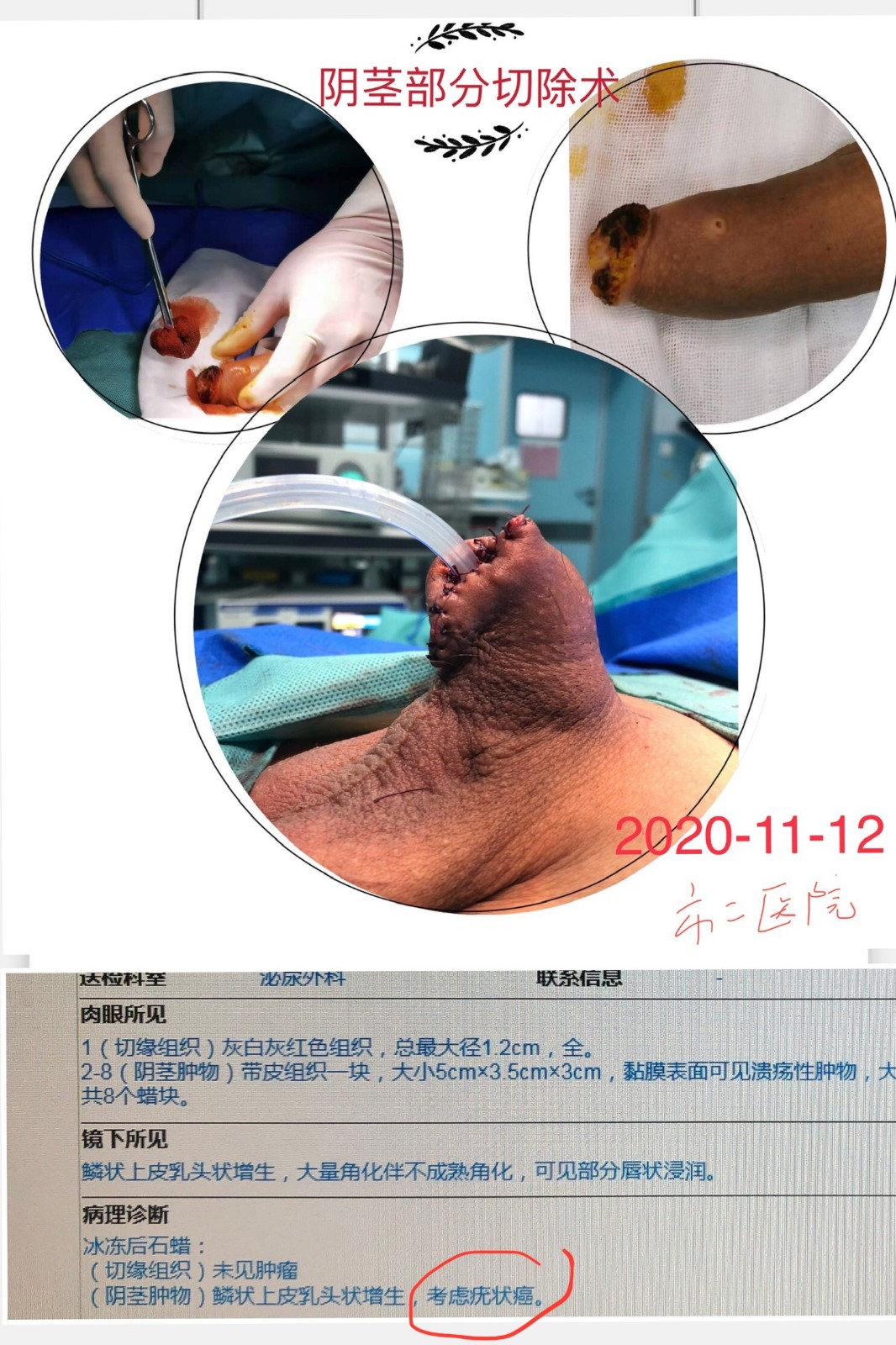 微信图片_20201115202559.jpg
