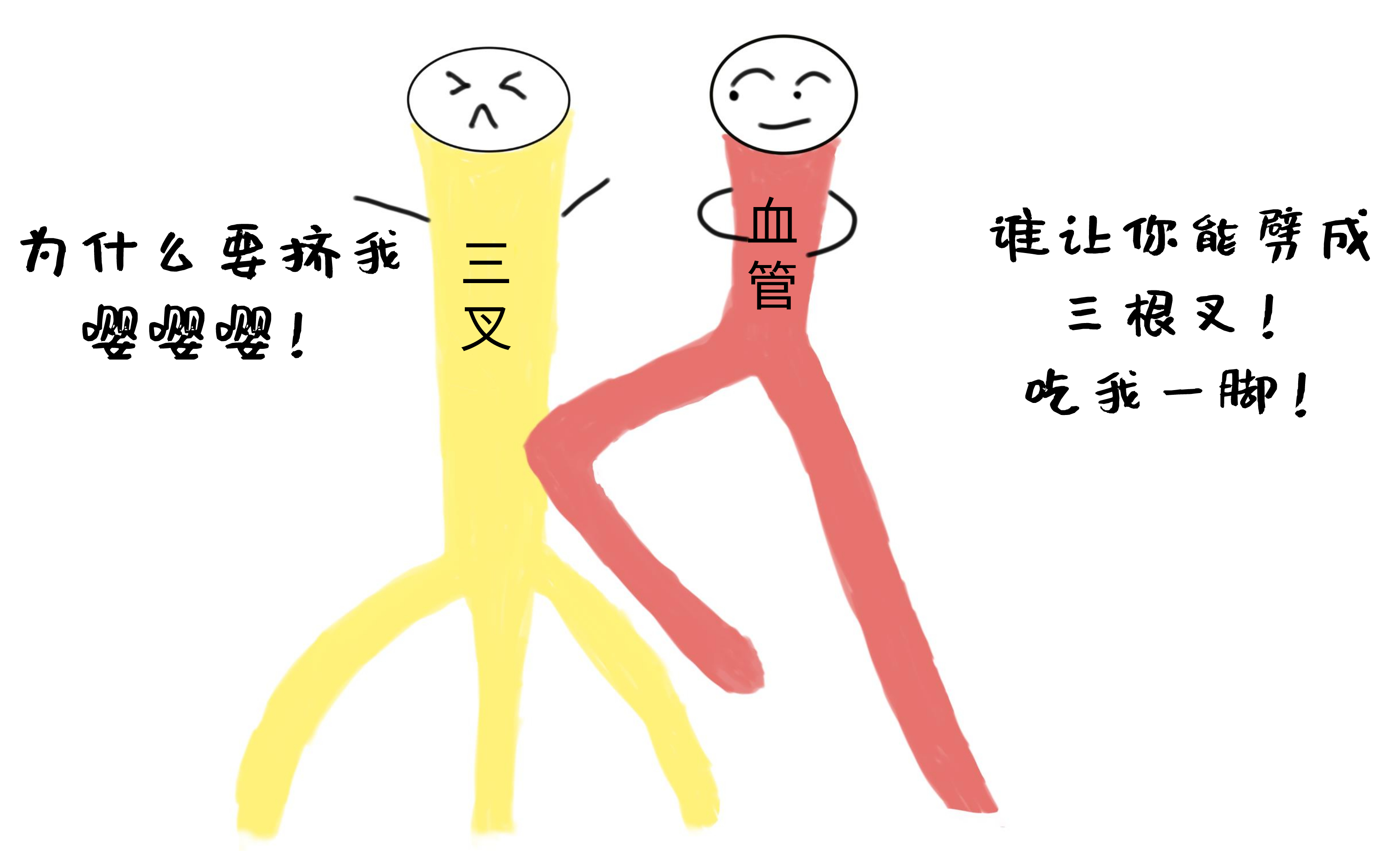 三叉血管压迫_cr.jpg