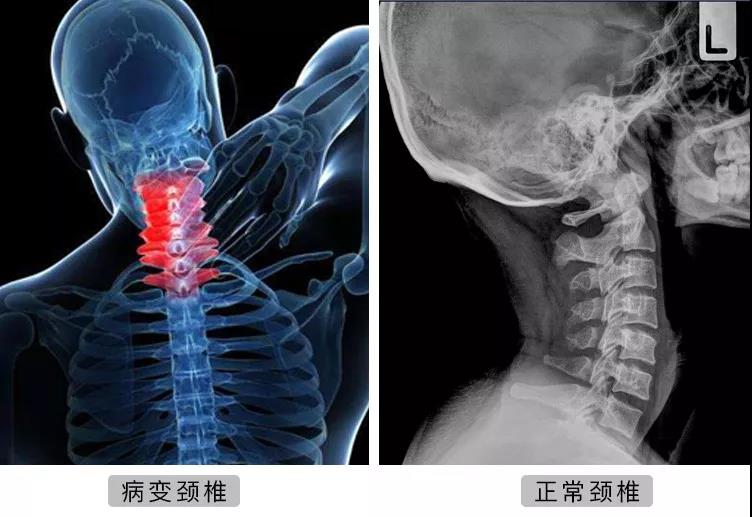 微信图片_20201118170313.jpg