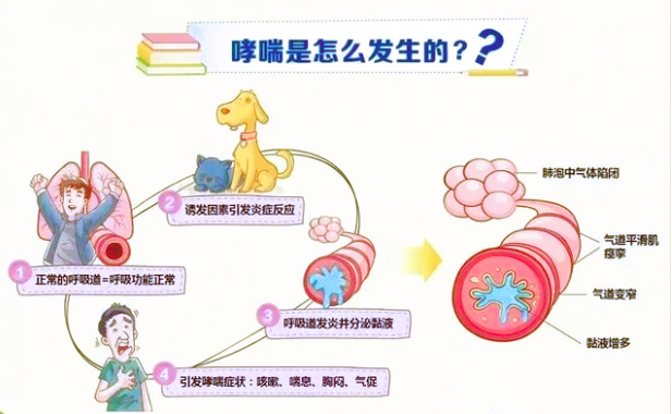 1602901421(1).png