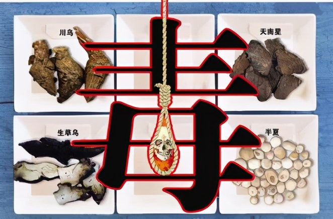 柴胡到底有没有毒，毒性有多大？