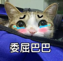 u=3392729540,1624493892&fm=26&gp=0.jpg