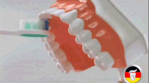 640 (4).gif