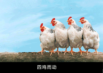 2.gif