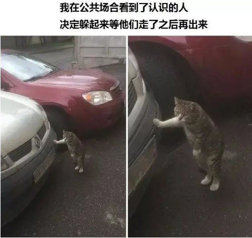 QQ图片20201210101147.png