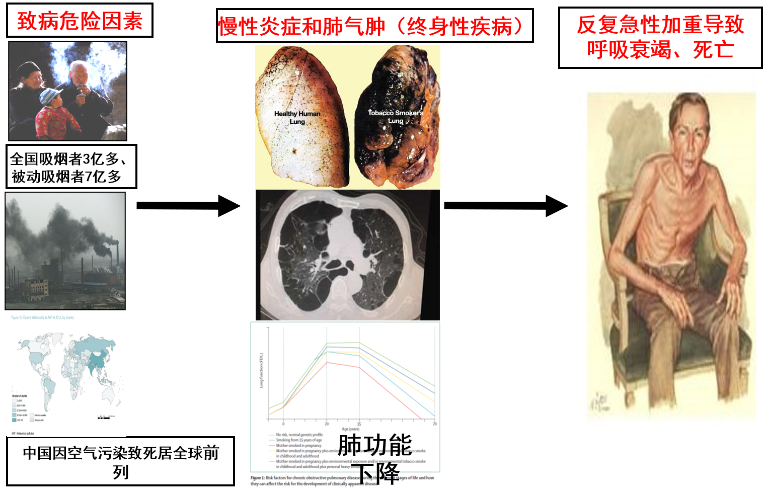 图片0.png