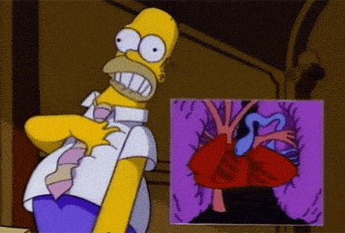 timg.gif