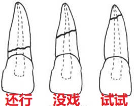 u=4002524168,2761994038&fm=26&gp=0.jpg