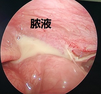 微信图片_20201226214514.jpg