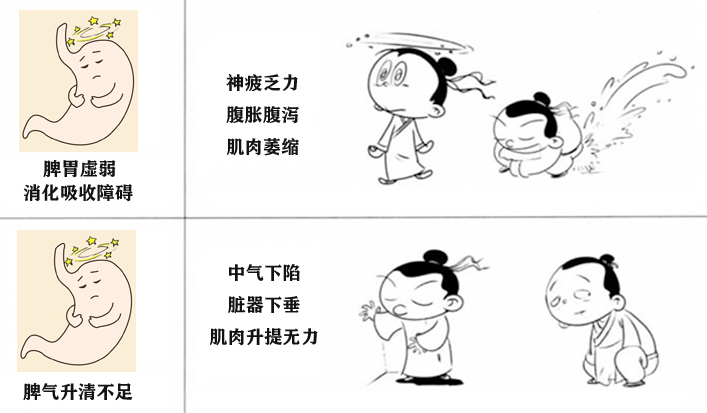 脾胃5.jpg