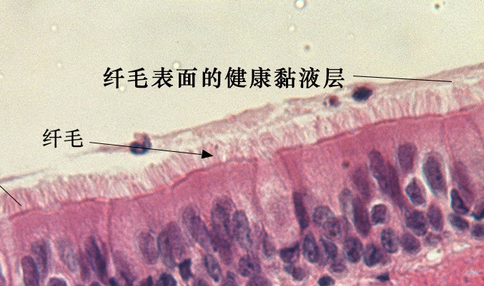 e36b2e1a4dbd14f37ade79ef5fbe8c3b_v2-889ec88caf257d7cbda2270fb22fa4e5_r_source=1940ef5c.jpg