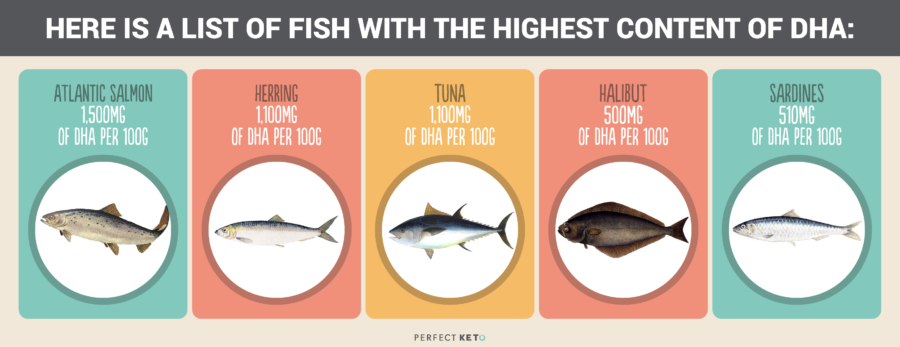 fish-with-the-highest-content-of-DHA-900x347 (1).png