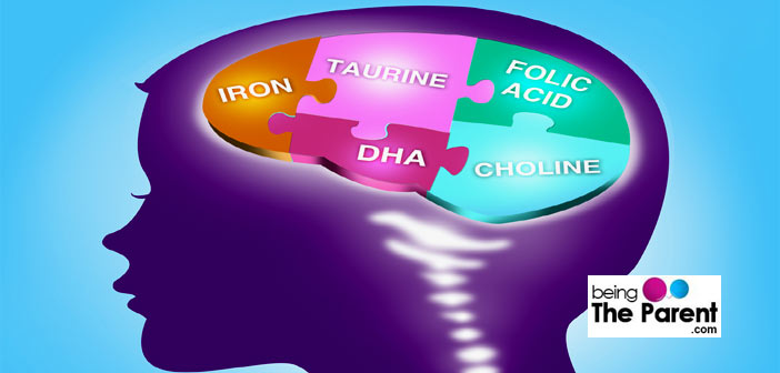 DHA-and-brain-develop.jpg
