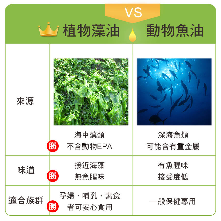 AlgaeOil_DHA3(1).jpg