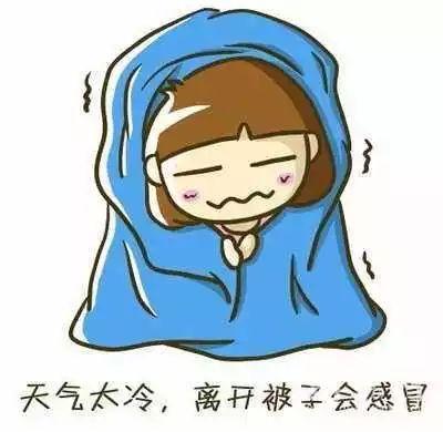 sohu.com.jpg