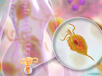 1611128769660245.jpg 1153567666.jpg