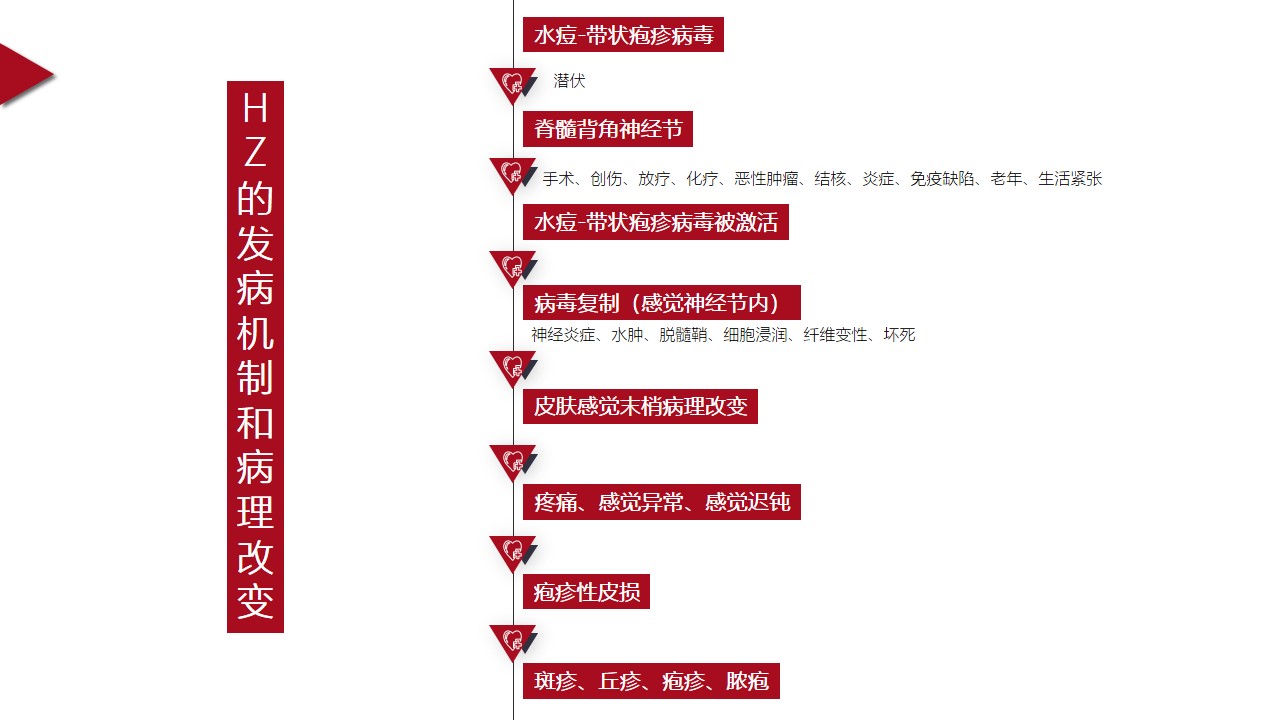 幻灯片10.JPG