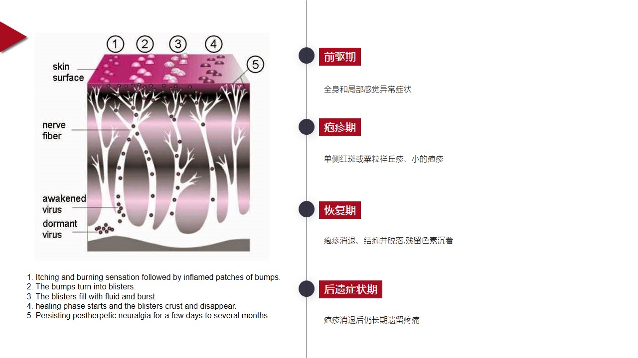 幻灯片11.JPG