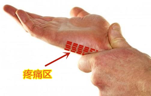 timg_副本.jpg