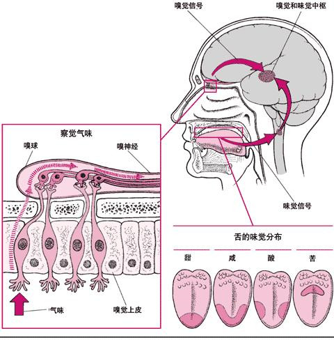 src=http_%2F%2F2fuusee.zysj.com.cn%2Fimage%2Flilunshuji%2Fmokejiatingzhenliaoshouce%2Fmokejiatingzhenliao090.gif&refer=http_%2F%2F2fuusee.zysj.com.jpg
